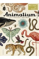 Animalium. Bun venit la muzeu. Intrarea libera