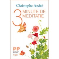 3 Minute de meditatie