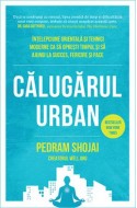 Calugarul urban