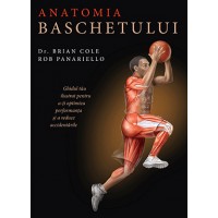 Anatomia baschetului