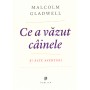 Ce a vazut cainele