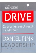 Drive. Ce anume ne motiveaza cu adevarat