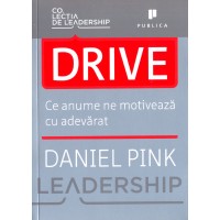 Drive. Ce anume ne motiveaza cu adevarat