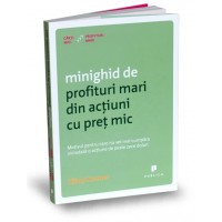 Minighid de profituri mari din actiuni cu pret mic