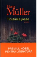 Tinuturile joase